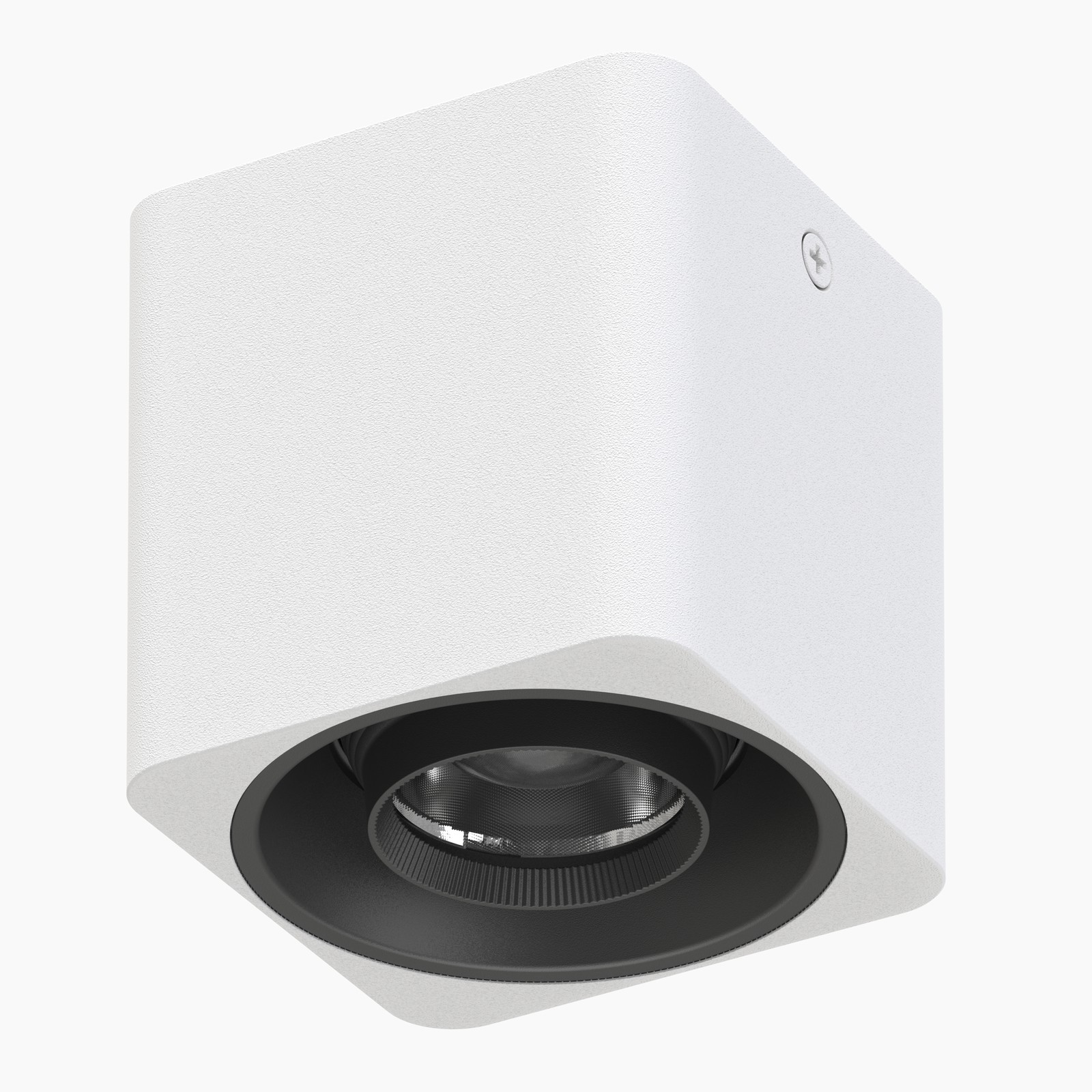 Surface Mounted Downlight