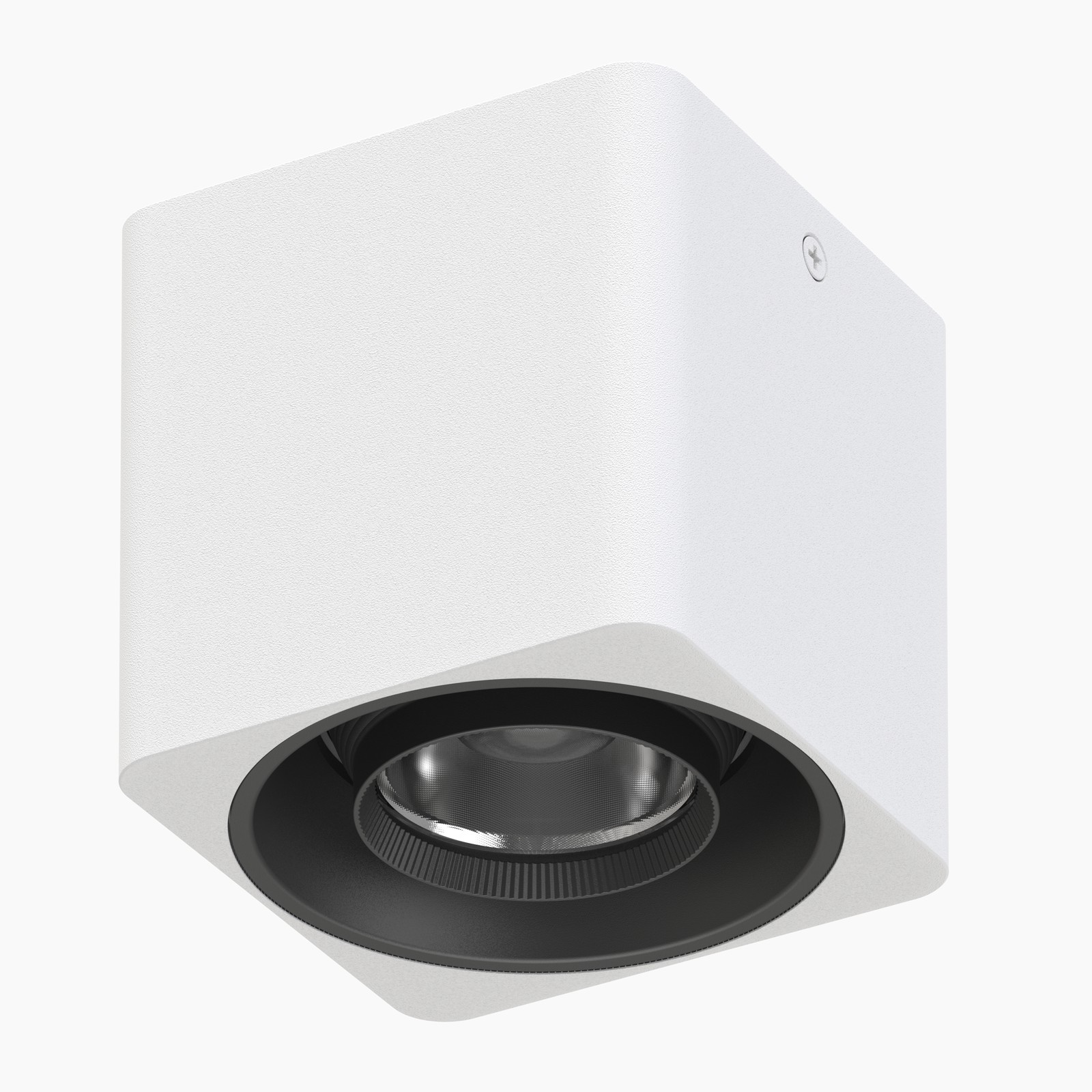 Surface Mounted Downlight