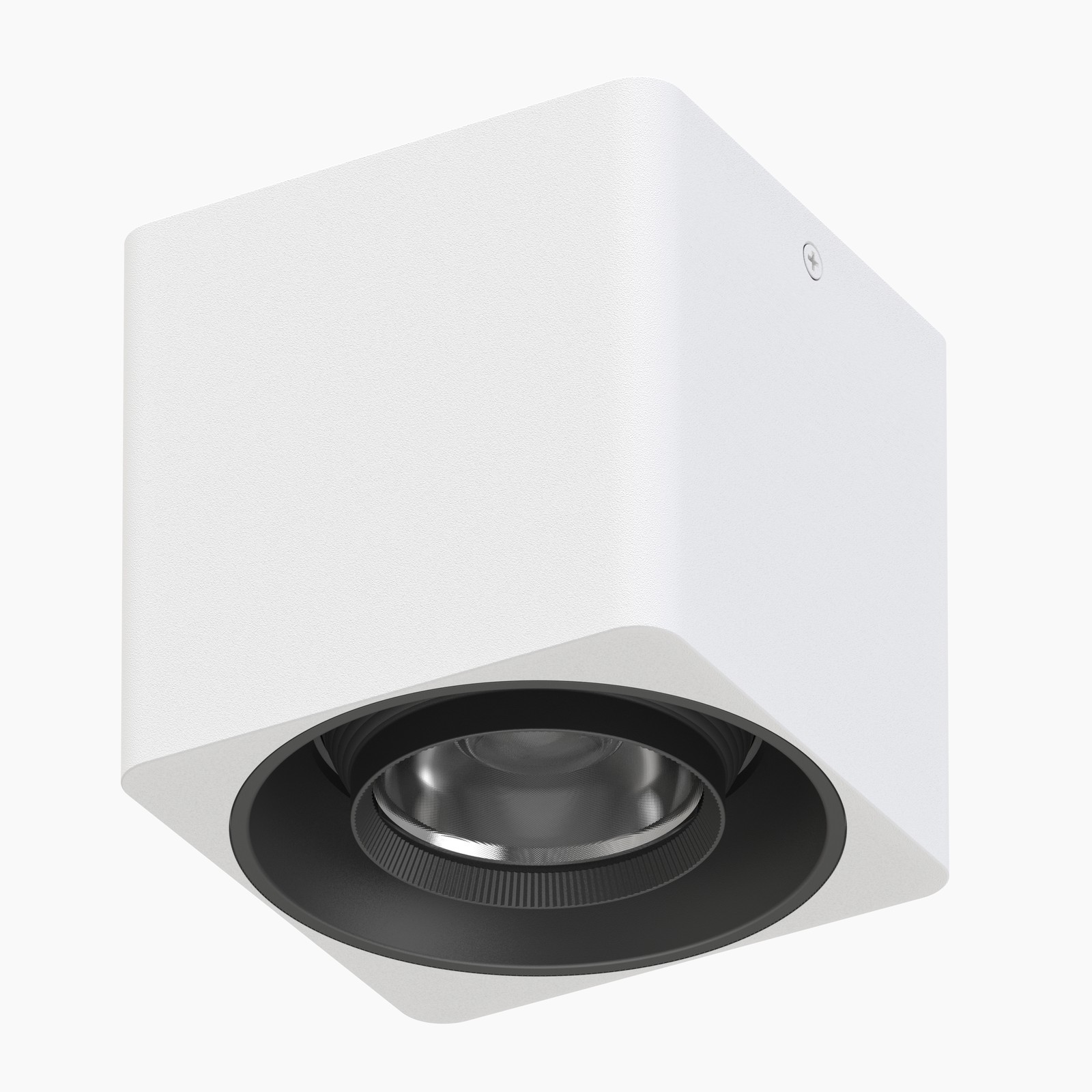 Surface Mounted Downlight