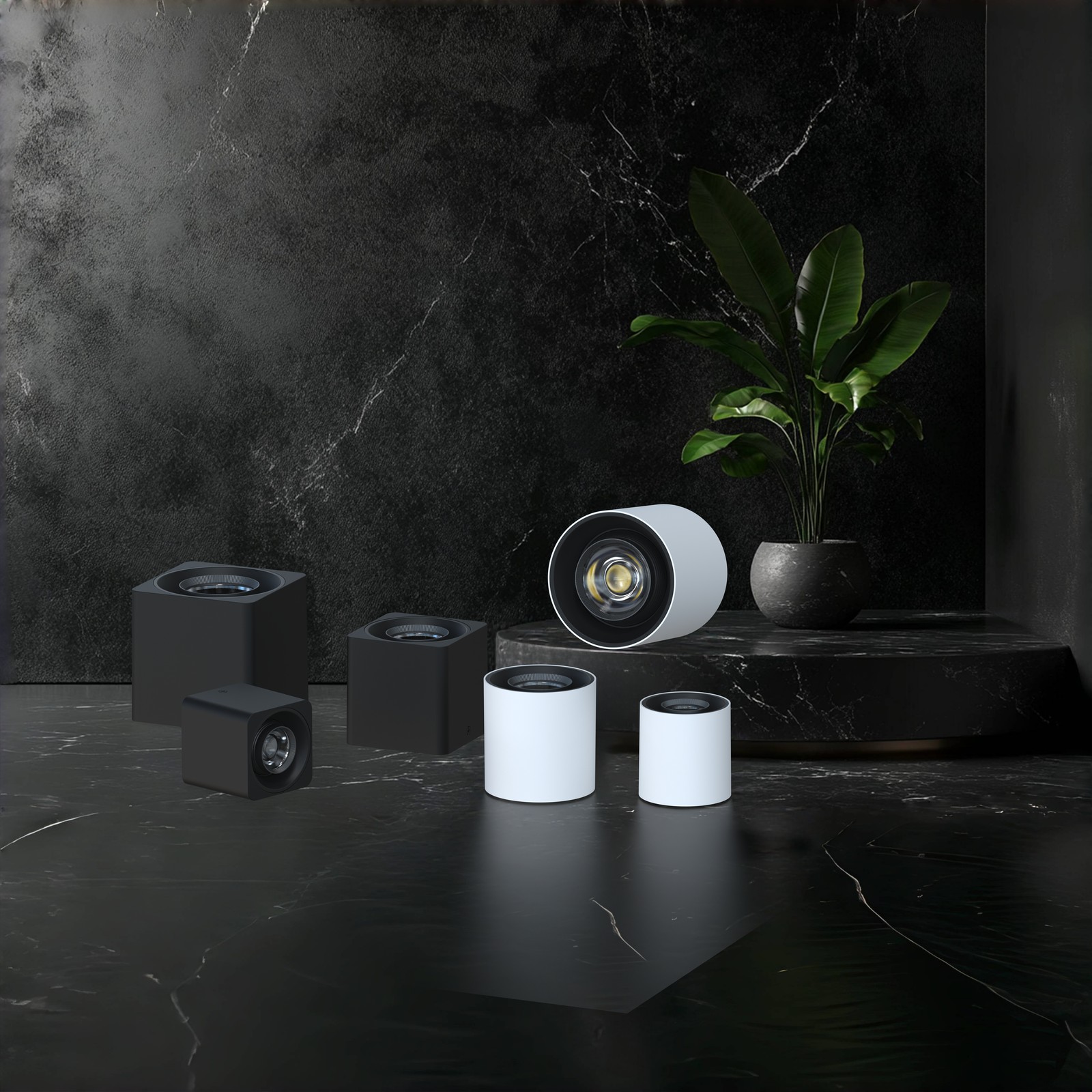 Surface Mounted Downlight